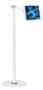 mBeat Activiva Universal iPad Tablet White Floor Stand