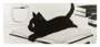 YUNZII Keynovo Desk Mat, Book Cat