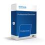 Sophos Professional Services per Day