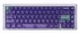 MelGeek REAL67 RGB Potassium-Purple Mechanical Keyboard, Sacred Heart KOM SW