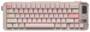 Qwertykeys QK65 Mk3 RGB Prebuilt White Peach Wireless Mechanical Keyboard, Oat Switch