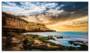 Samsung QET 50 4K UHD Direct LED BLU Commercial Display