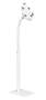 Brateck MPBT-PAD33-01 H/Adjust Universal Anti-Theft Tablet Floor Stand