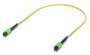 Ubiquiti 0.5m OS2 MPO-12 APC Fiber Patch Cable, Single-pack, Indoor OS2 Single-mode