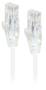 ALOGIC 3m Ultra Slim Cat6 Network Cable, White
