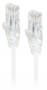 ALOGIC 0.3m Ultra Slim Cat6 Network Cable, White
