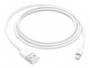 Apple Lightning to USB Cable, 1meter