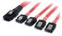 StarTech 50cm Serial Attached SCSI SAS Cable