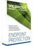 Webroot SecureAnywhere Business Endpoint Protection, 1 Year
