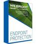 Webroot SecureAnywhere New Endpoint Protection