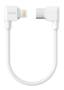 Insta360 Flow 2 Pro USB-C to Lightning Charging Cable