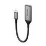 ALOGIC Ultra 15cm USB-C to DP Adapter