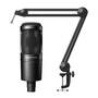 Audio-Technica AT2020 BK and AT8700 Microphone Boom Arm Bundle