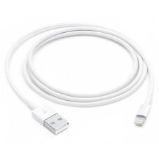 Apple Lightning to USB-A Cable, 1m