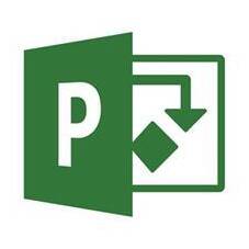 Microsoft Office Professional 2021, ESD Licence Only