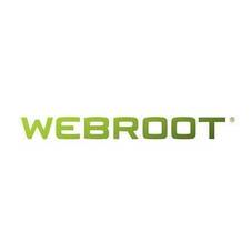 Webroot SecureAnywhere Business Mobile Protection, 2 Year