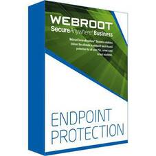 Webroot SecureAnywhere Mobile Protection for Business Renewal, 2 Year