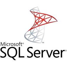 Microsoft SQL Server 2019 Enterprise 2 Core Licence Pack