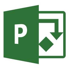 Microsoft Project Server 2019 Single User Cleint Access Licence