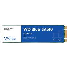 Western Digital WD Blue SA510 250GB M.2 2280 SATA HDD