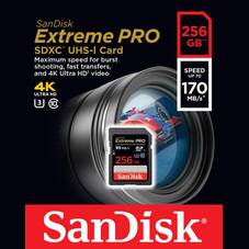 SanDisk SDSDXXY-256G-GN4IN 256GB Extreme Pro SDXC Card